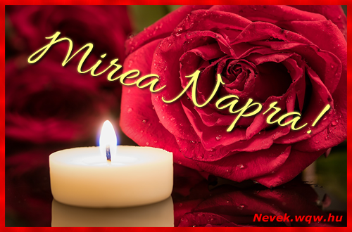 Mirea kpeslap