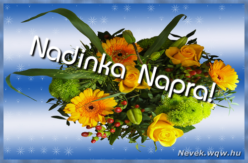 Ezzel a virgcsokorral kvnunk, sok boldog Nadinka napot!