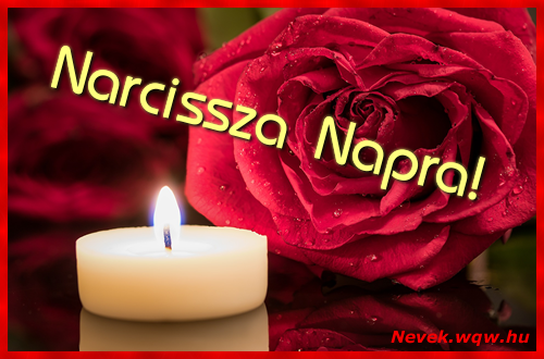 Narcissza kpeslap