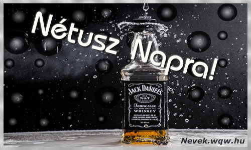 Boldog Ntusz napot! Nvnapi dvzllap Ntusz napra.