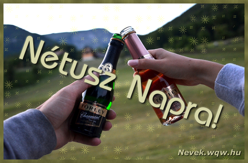 Kpeslap Ntusz nvnapra. Ntusz napra szeretettel. Sok boldog nvnapot!