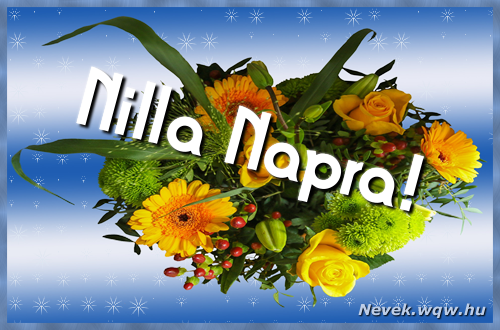 Ezzel a virgcsokorral kvnunk, sok boldog Nilla napot!