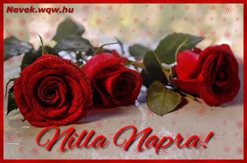 Szp vrs rzsaszlak Nilla nvnapra.