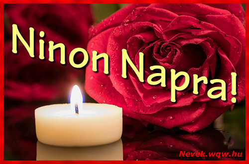 Kpeslap Ninon nvnapra. Ninon napra szeretettel. Sok boldog nvnapot!