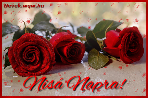 Szp vrs rzsaszlak Nis nvnapra.