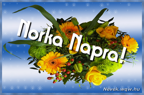 Ezzel a virgcsokorral kvnunk, sok boldog Norka napot!