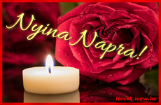 Kpeslap Nyina nvnapra. Nyina napra szeretettel. Sok boldog nvnapot!
