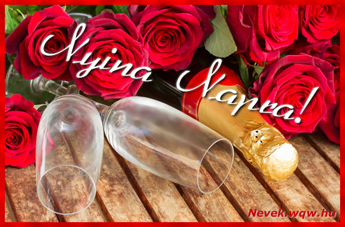 Nyina dvzllap