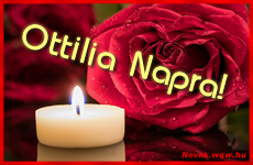 Kpeslap Ottilia nvnapra. Ottilia napra szeretettel. Sok boldog nvnapot!