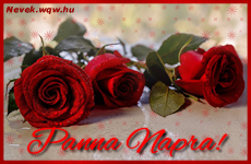 Szép vörös rózsaszálak Panna névnapra.