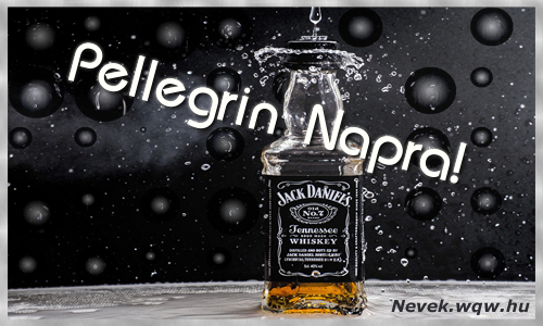 Pellegrin dvzllap