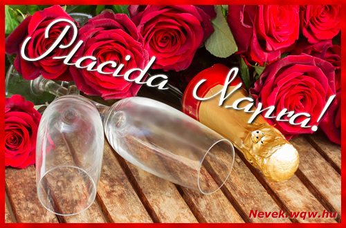 Placida dvzllap