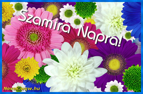 Sznes gerberk. Nvnapi kpeslap Szamira napra.