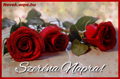Szp vrs rzsaszlak Szerna nvnapra.