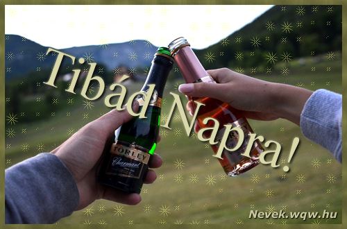 Kpeslap Tibd nvnapra. Tibd napra szeretettel. Sok boldog nvnapot!