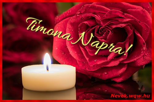 Timona kpeslap