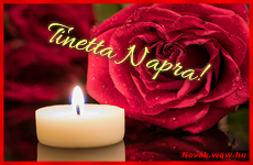 Kpeslap Tinetta nvnapra. Tinetta napra szeretettel. Sok boldog nvnapot!