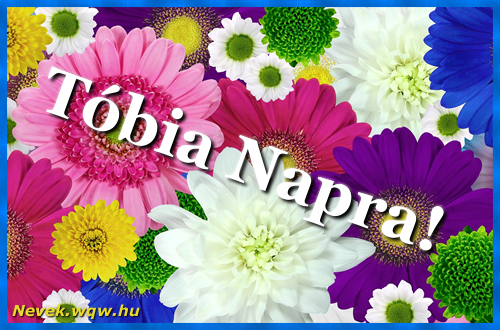 Sznes virgok Tbia nvnapra