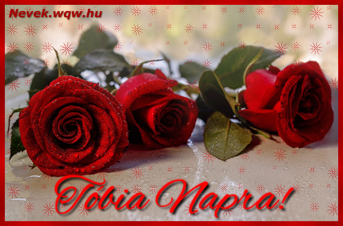 Nvre szl kpeslap Tbia napra