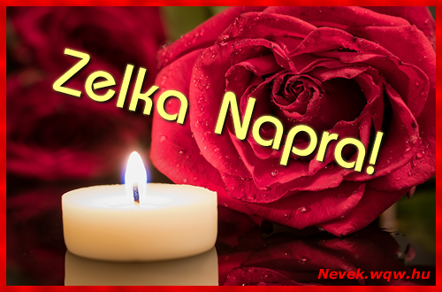 Kpeslap Zelka nvnapra. Zelka napra szeretettel. Sok boldog nvnapot!
