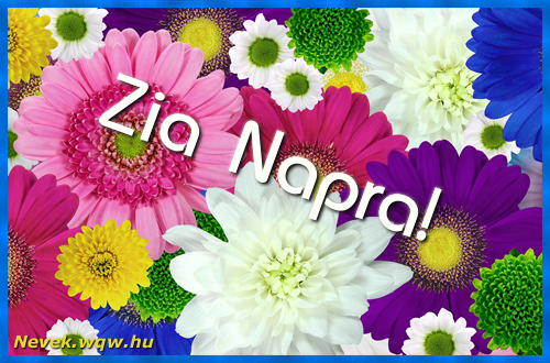 Sznes virgok Zia nvnapra