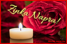 Kpeslap Zinka nvnapra. Zinka napra szeretettel. Sok boldog nvnapot!